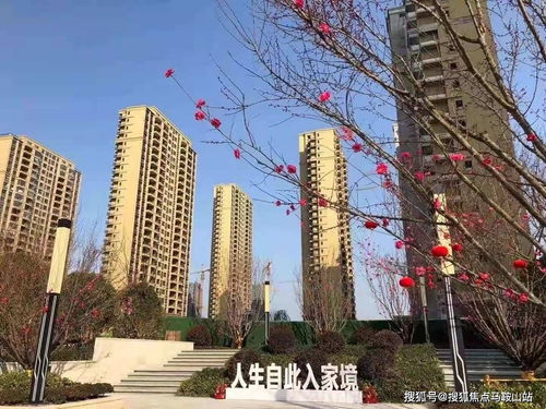 鎮江新盤速遞 一站式獲取樓盤動態、地址戶型與教育資源解析